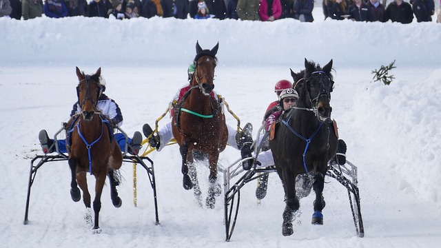 科爾表示施羅德仍在適應中 他將為我們的勝利做出貢獻.