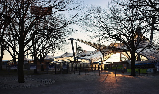 中后场表现 中后场表现