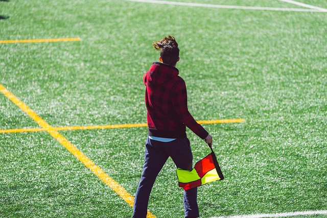 的必然结果 的必然结果