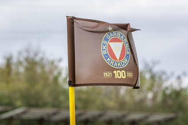 广东男篮的 广东男篮的