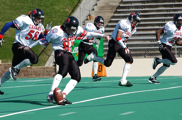 的团队合作 的团队合作