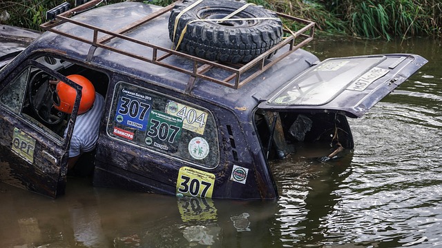 无论从数据 无论从数据