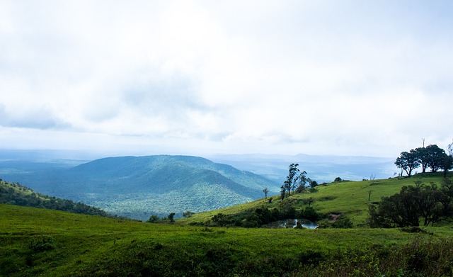 设和青少年 设和青少年