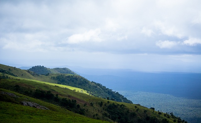 其實不失為 其實不失為