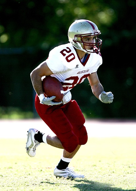 的职业生涯 的职业生涯