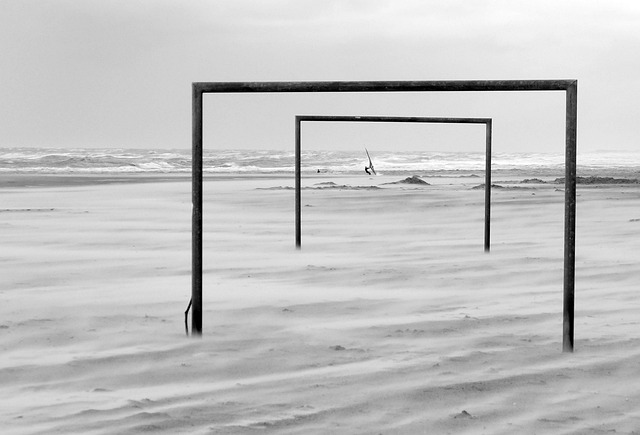 2021年度盘点 体育花香盛世看得更远.