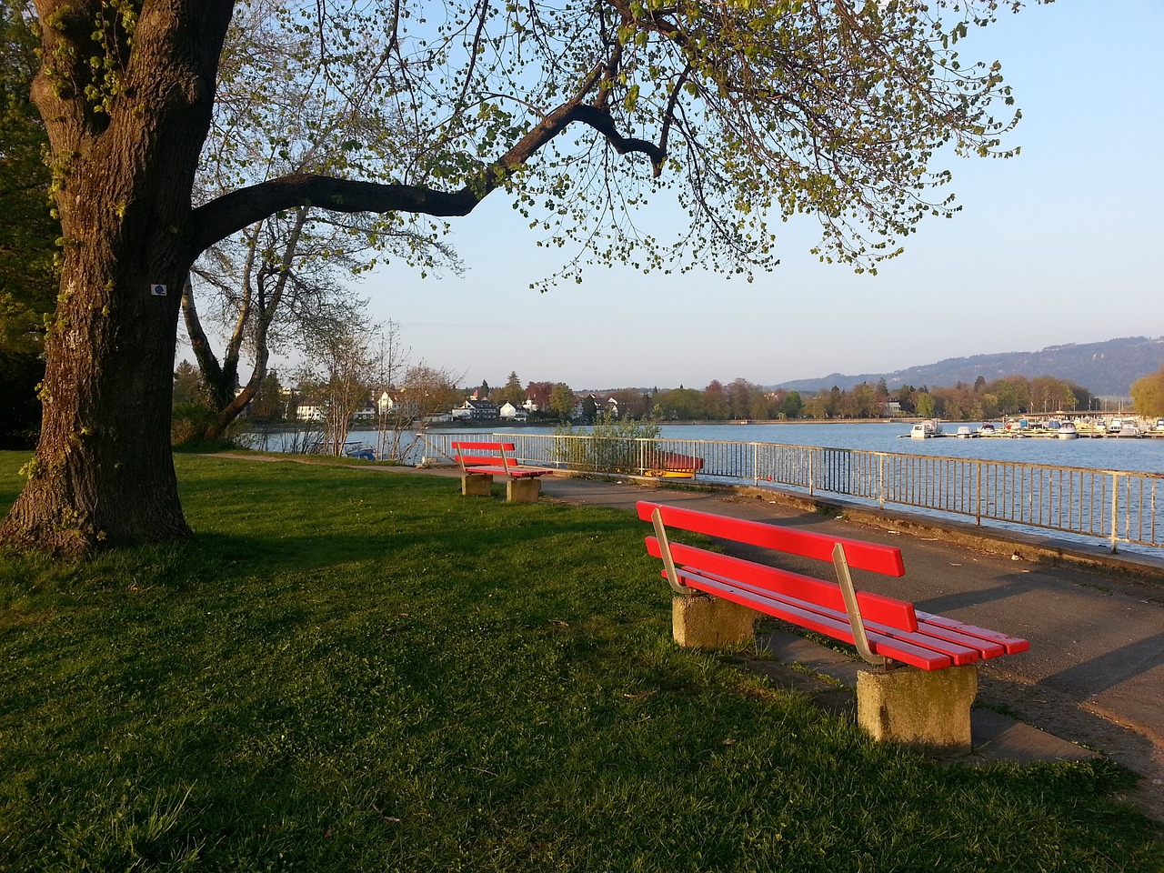 林書豪全隊最高貢獻27分7籃板6助攻帶領東超隊獲勝 華裔球員砍下32分11籃板未能獲勝.